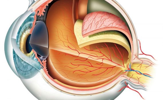 Eyecare Services