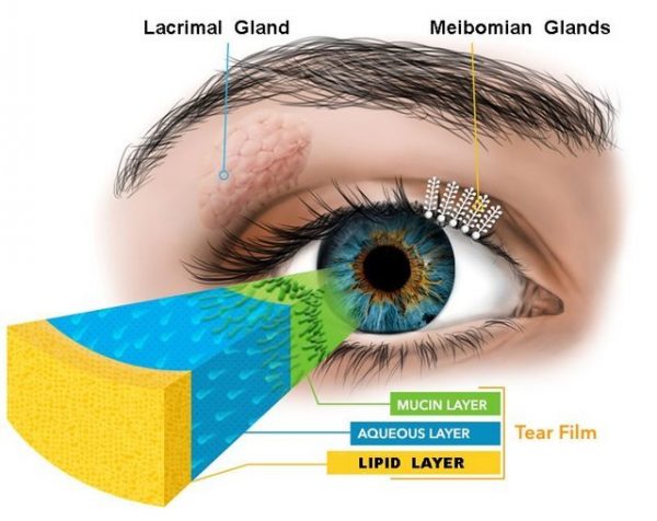 tear-film-clinic-oldfields-opticians